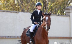 韩国美女激情视频一区二区